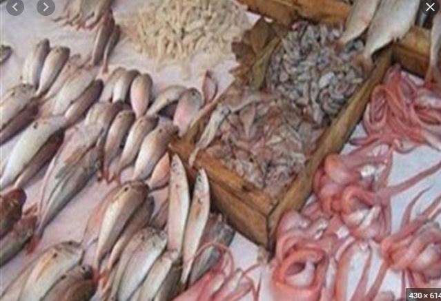 ضبط 5300 كيلو اسماك غير صالحة بمحافظة القاهرة