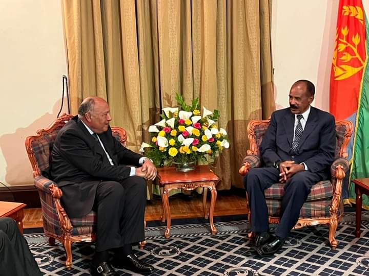خلال تسليمه رسالة من الرئيس السيسي إلى الرئيس الإريتري: وزير الخارجية يؤكد على عمق العلاقات التاريخية بين البلدين