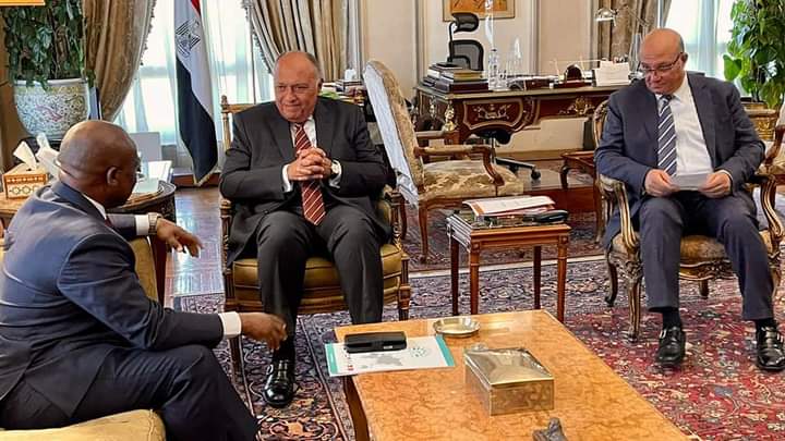  وزير الخارجية سامح شكري يستقبل سكرتير عام منظمة الدول الثماني النامية للتعاون الاقتصادي