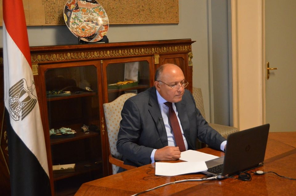 وزير الخارجية يؤكد أمام جامعة الدول العربية: مصر تناشد الدول العربية