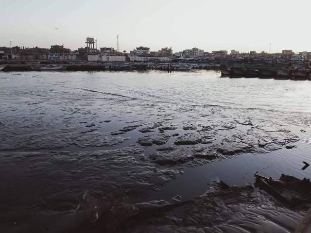 نائب محمد زين يتهم الحكومة بالإهمال فى تطهير ميناء صيد المعدية بأدكو