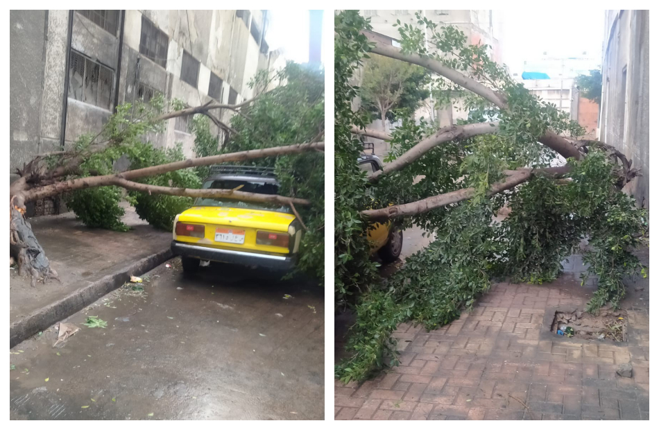 سقوط سقف وتحطم سيارة..ماذا فعلت الرياح والعواصف بالإسكندرية |