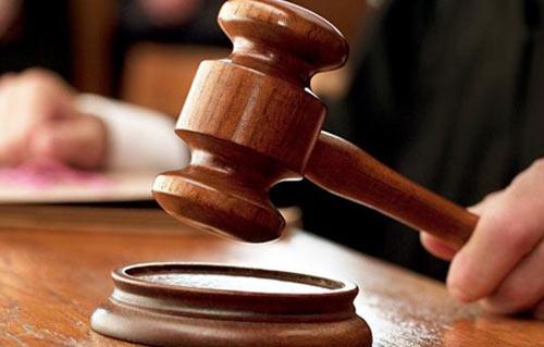 إحالة الجزار المتهم بذبح كلب وإصابة آخر في الدقي للمحاكمة العاجلة