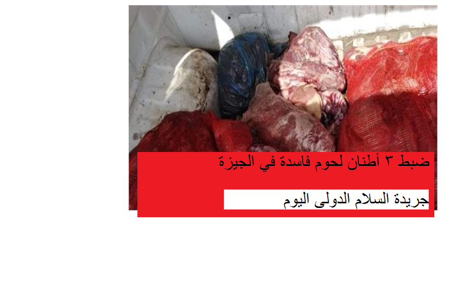 ضبط 3 أطنان لحوم فاسدة في الجيزة