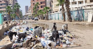 سادت حالة من الغضب بين المواطنين بمدينة المحلة، بسبب انتشار أكوام القمامة فى عدد كبير من الشوارع والمناطق الرئيسية بالمدينة بكميات كبيرةدون رفعحا.